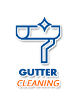 Gutter Cleaning