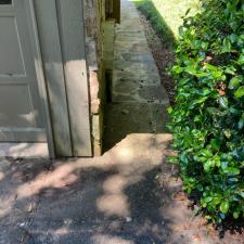 Flagstone Cleaning 29